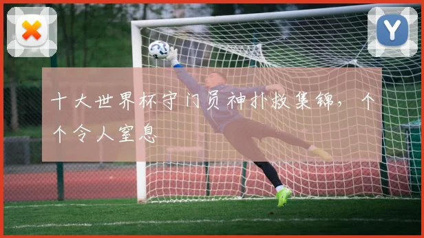十大世界杯守门员神扑救集锦，个个令人窒息