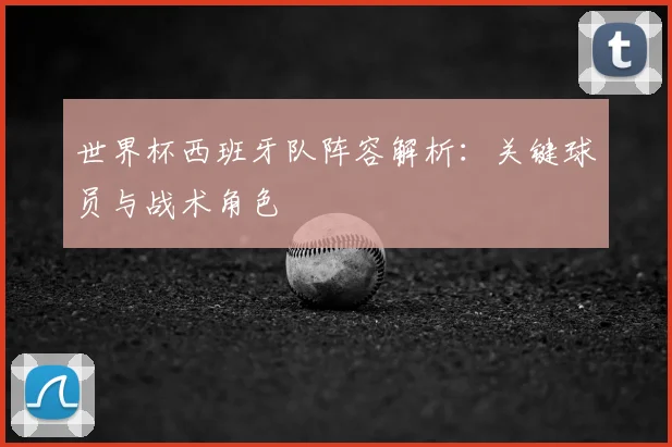 世界杯西班牙队阵容解析:关键球员与战术角色