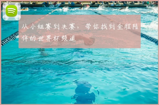 从小组赛到决赛，带你找到全程陪伴的世界杯频道