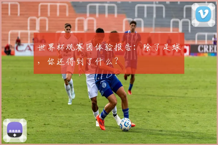 世界杯观赛团体验报告：除了足球，你还得到了什么？