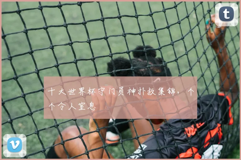 十大世界杯守门员神扑救集锦，个个令人窒息