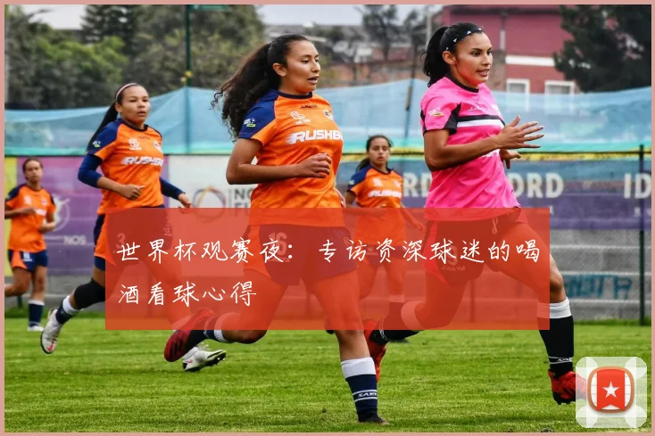 世界杯观赛夜：专访资深球迷的喝酒看球心得