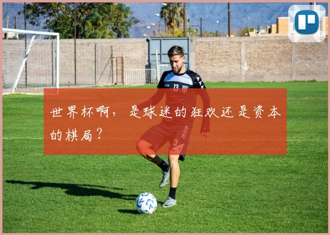 世界杯啊，是球迷的狂欢还是资本的棋局？