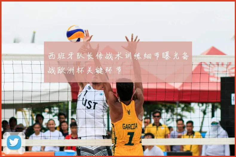 西班牙队长传战术训练细节曝光备战欧洲杯关键环节